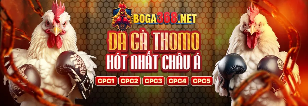Sân vận động với trận đấu thể thao sôi động tại tv8804